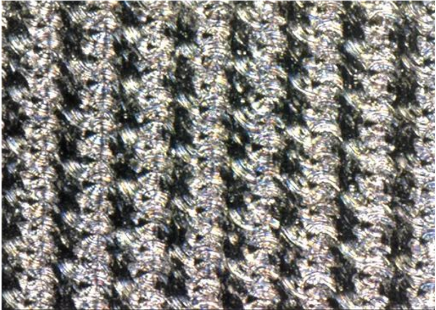 09 顯微鏡放大圖.png 09 顯微鏡放大圖.png